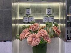 -宝藏绿洲(扬韬广场店)