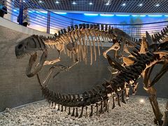 -国家自然博物馆