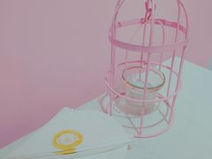 餐具摆设-金私燕鲜炖燕窝(万达店)