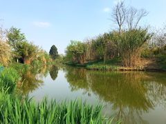 -白鹭湾湿地公园