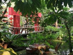 -绿光森林餐厅