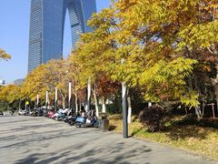 -金鸡湖景区