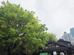 -重庆十八梯传统风貌区