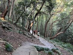 -严子陵钓台(富春江小三峡)