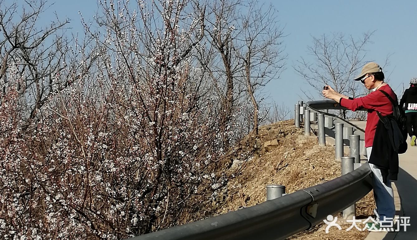 去放飞自我吧！当你登到山顶，风景突变，一览无余