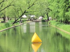 -上海共青森林公园