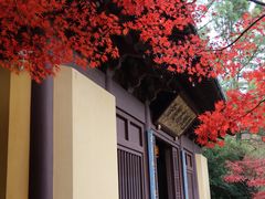 -慧因高丽寺