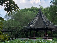 -上海醉白池公园
