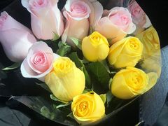 -秦美花卉(天朗·莱茵小城2期店)