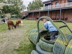 -太阳岛度假酒店