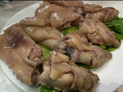 -丁老爷子苏香圆