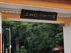 -深圳仙湖植物园