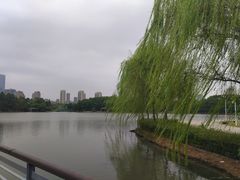 -白塘生态植物园