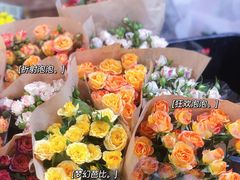 -溪岸路花鸟市场