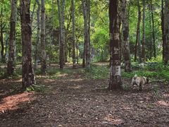 -长春市南湖公园