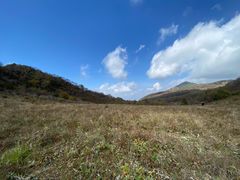 -白草畔自然风景区