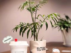 -Manner Coffee(大宁国际商业广场店)