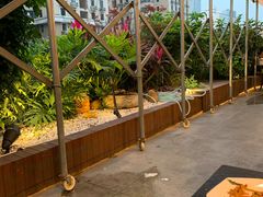 -财神鸡煲(华强北店)