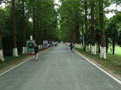 -黄海国家森林公园