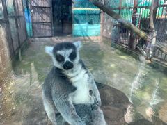 -昆明动物园