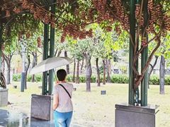 -文华公园(禅城区)