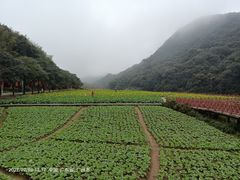 -广州市石门国家森林公园