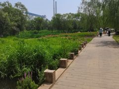 -门城湖公园