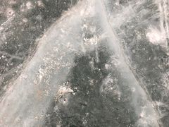 -丁香湖公园