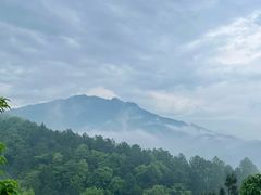 -庐山风景名胜区-东林大佛