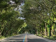 -东南花都花博园