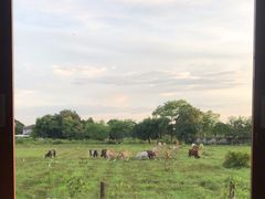 -Chom Cafe and Restaurant