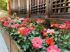 -大妙火锅·非物质文化遗产(东湖公园店)