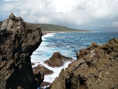 -龙坑生态保护区