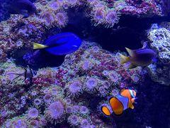 -成都浩海立方海洋公园