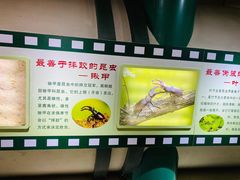 -上海昆虫博物馆