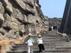 -辽宁古生物博物馆