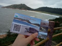 -广东惠东海龟国家级自然保护区