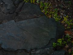 -北京鹫峰国家森林公园