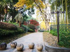 -上海不夜城广场(上海不夜城金融大厦店)