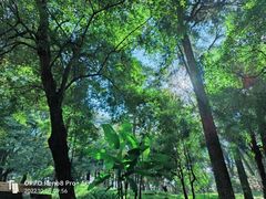 -昆明市金殿名胜区