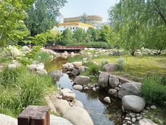 -莲花池公园