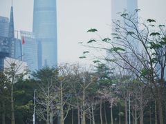 -TESLA 特斯拉(广州天环广场体验店)