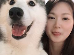 -Husky Go! 哈士奇体验馆·宠物咖啡厅狗咖