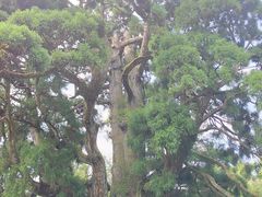 -鼓岭旅游度假区