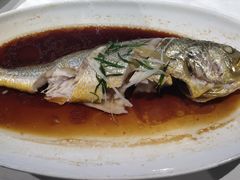 广式清蒸鲈鱼-蔡府家宴(699店)