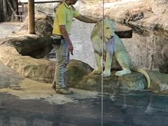 -清迈夜间动物园