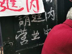 -孙奶奶葱包桧