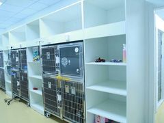 -伟伟宠物医院·瑞派猫友好医院·猫科(光谷店)