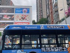 -帕帕拉兹宠物(亚洲旗舰店)