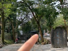 -南山植物园
